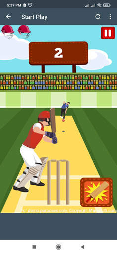 Pro Cricket Championship screenshot 2