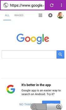 Snapfox Browser. screenshot 3