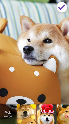 Funny Shiba Inu Dog Screen Lock screenshot 3