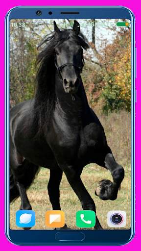 Horse Wallpaper screenshot 9