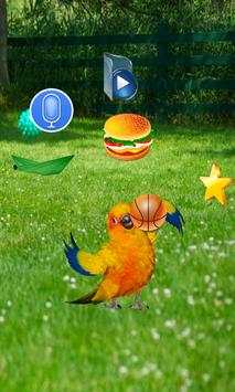 Funny Talking Parrot screenshot 2