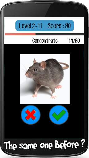 Cerebrum : Brain Training Game screenshot 8