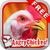 Angry Chicken Free! 1.074