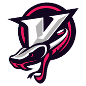 Viper VPN - Free VPN Client icon