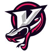 Viper VPN - Free VPN Client 1.0