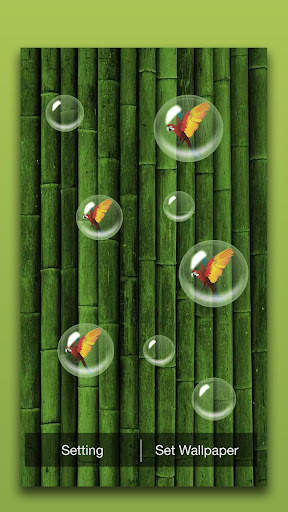 Bamboo Forest Live Wallpaper screenshot 2