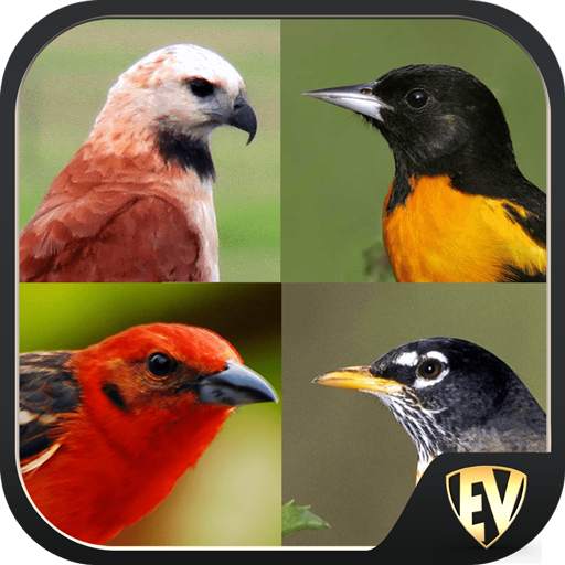 Birds Encyclopedia Offline App 1.1.4