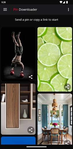 Video downloader 4 Pinterest screenshot 1