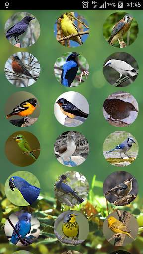 The Sound of Birds स्क्रीनशॉट 1