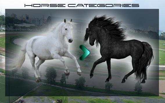 Extreme Horse Riding Racing Adventure screenshot 5
