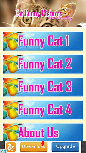 Funny Cat screenshot 3