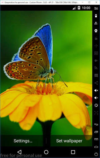 Ladybug 3D Live Wallpaper 4 تصوير الشاشة