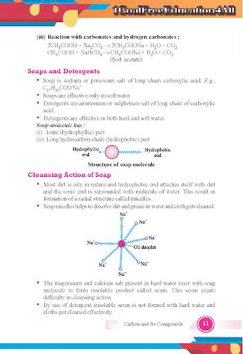 Class 10 Chemistry Term 2 screenshot 5