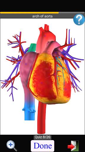 Anatomy Quiz скриншот 4