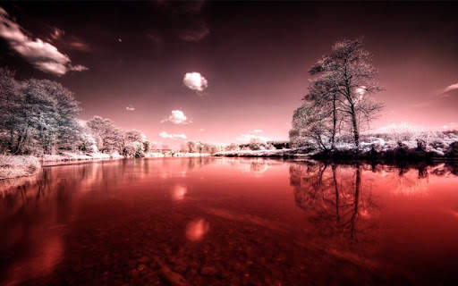Nature Live Wallpapers screenshot 7