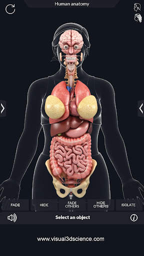 My Organs Anatomy screenshot 5