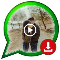 Offline Status Saver – WA Status Saver
