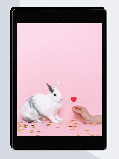 Funny Wallpapers screenshot 13