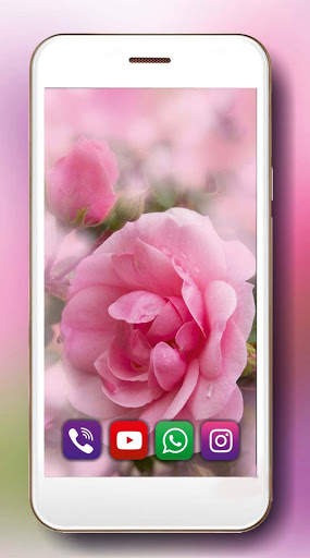 Spring Rose Best Live Wallpaper screenshot 5