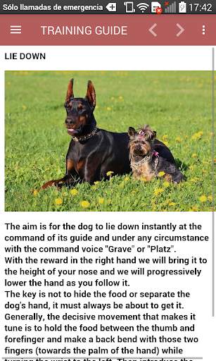 Dog Training Guide Offline screenshot 15