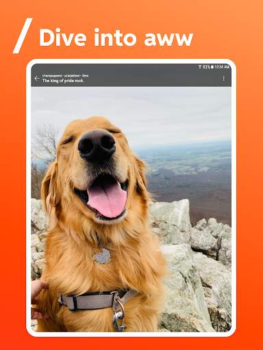 Reddit screenshot 4