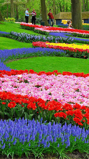 Garden wallpaper screenshot 6