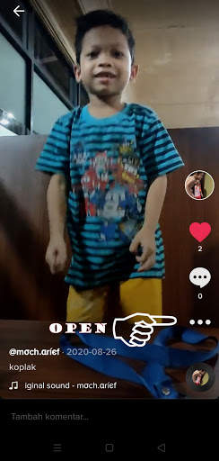 Video TikTok Downloader No Watermark screenshot 2