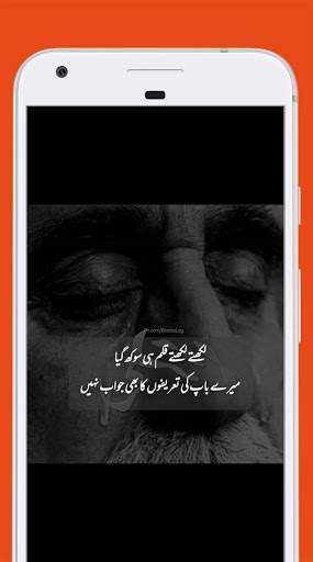 Offline Urdu Poetry 2020 screenshot 8