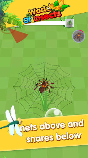 World of insect screenshot 4