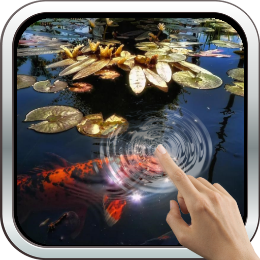 Koi Fish in the Pond иконка