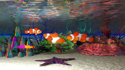 Fish HD Wallpaper screenshot 5
