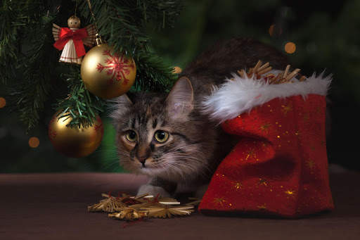 New Year Wallpapers | hd backgrounds screenshot 21