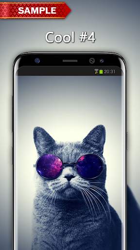 Cool Wallpapers screenshot 6
