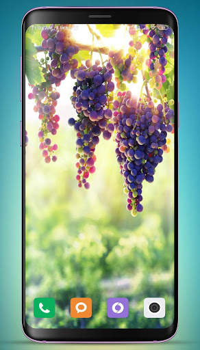 Grapes Wallpaper HD screenshot 3