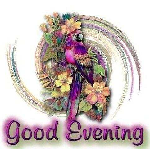 Good Evening Images 2 تصوير الشاشة