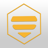 Beez Taxi Driver icon