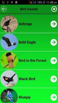 Bird Calls And Ringtones screenshot 2