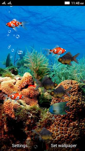 Aquarium Live WallPaper screenshot 3