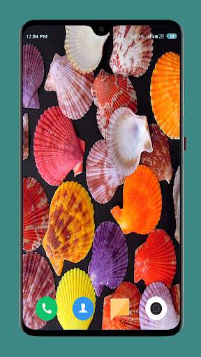 HD Seashell Wallpaper screenshot 8