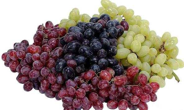 Grapes wallpapers screenshot 2