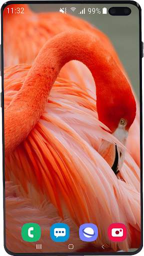 Flamingo Wallpaper HD screenshot 3