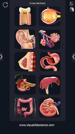 My Organs Anatomy screenshot 2