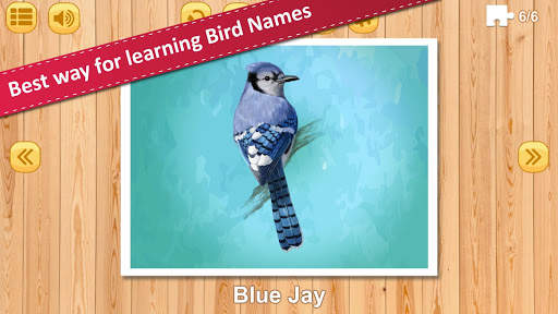 Jigsaw Birds Collection Puzzle 1- Educational Game screenshot 2