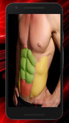Six Pack & Abs Workouts скриншот 7