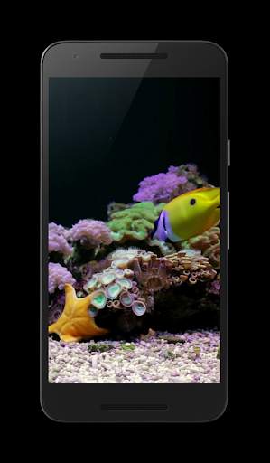 Coral Reef Aquarium Video FREE screenshot 3