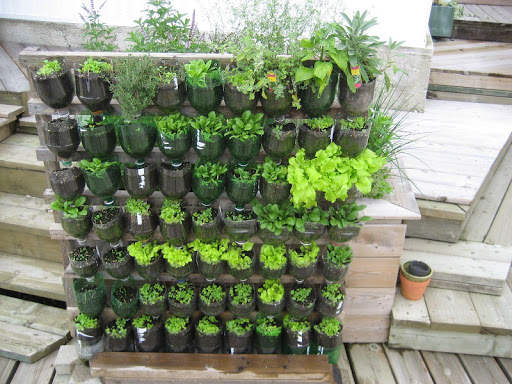 Vegetable Garden Ideas скриншот 5