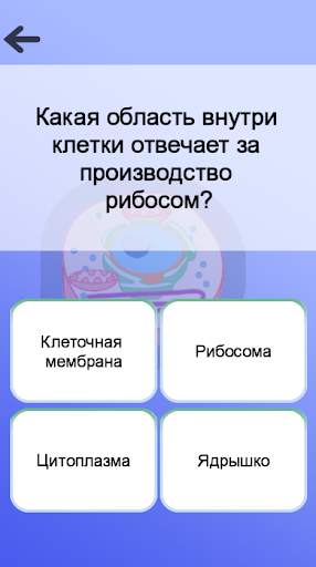 Игра Анатомия скриншот 7