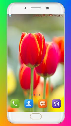 Tulip Wallpaper HD screenshot 9