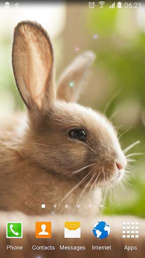 Cute Animals Live Wallpaper screenshot 1