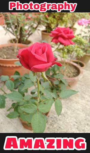 Portrait Camera - Bokeh Or Depth Mode screenshot 2